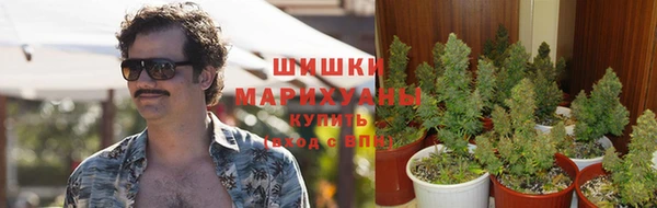 амф Нефтекумск