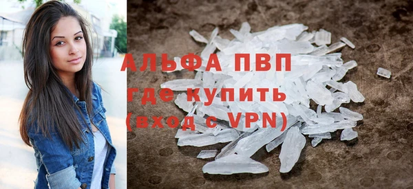 стафф Новодвинск