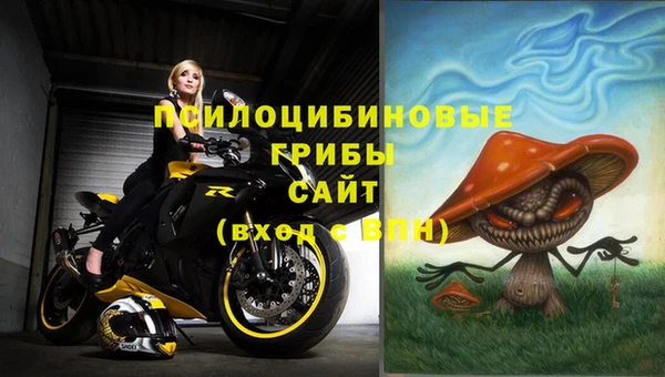 амф Нефтекумск