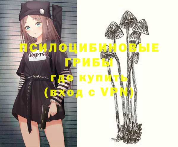 амф Нефтекумск