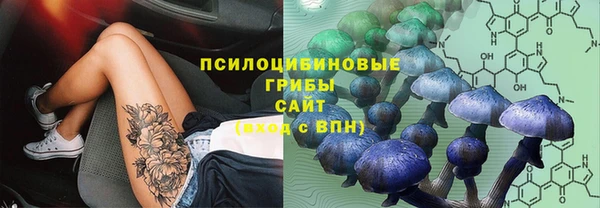 mdma Богородицк