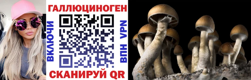 Псилоцибиновые грибы Magic Shrooms  кракен как зайти  Электросталь 
