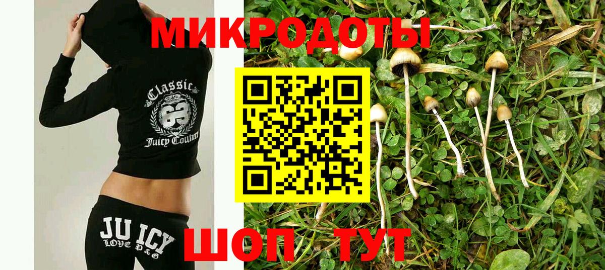 Псилоцибиновые грибы Psilocybe  Псилоцибиновые грибы мухоморы  цена наркотик  Вход с VPN  Электросталь 